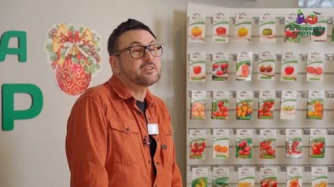 Выращивание томатов | Мастер-класс от 23 декабря 2022 года #огород #томаты #семенапартнер