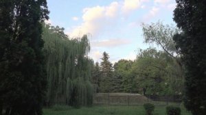 Муз. И. Лученка сл. Г. Буравкина"Зачарованная моя"