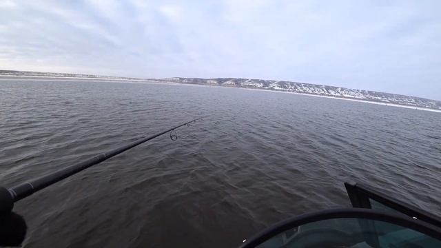 так СУДАКА НА ДОНУ мы ещё не ловили! Рыбалка на Дону! Судак на ДЖИГ! Рыбалка на судака! смотреть онлайн