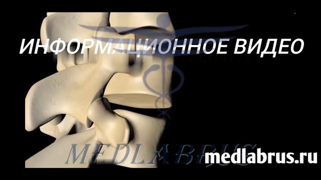 Анатомия позвоночника