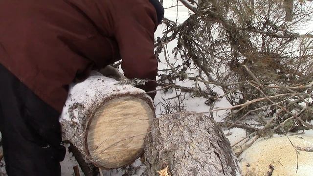 Тофалар 500 Long за валежником