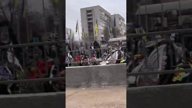 ❗️В Житомире решили устроить кладбище убитых всушников прямо в центре города.