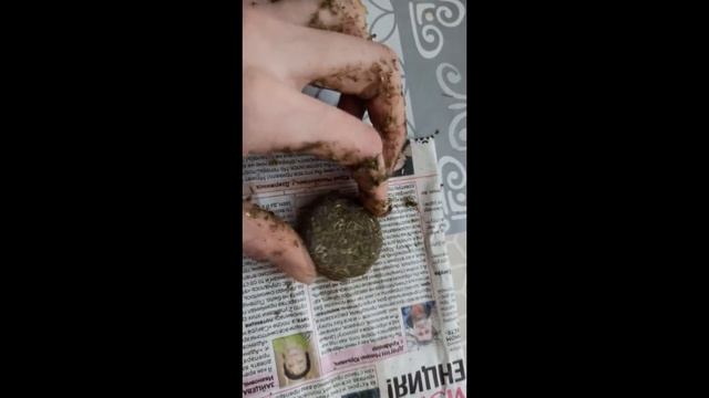 Печенье своими руками для морской свинки, кролика, шиншиллы/  Как сделать вкусняшку для грызунов