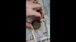 Печенье своими руками для морской свинки, кролика, шиншиллы/  Как сделать вкусняшку для грызунов