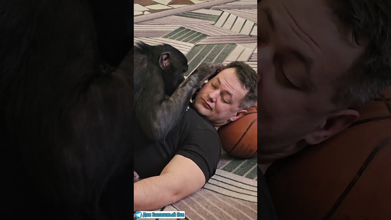 ЛУЧШИЙ SPA САЛОН МИРА! Уникальные косметологические процедуры в Казахстане смотреть онлайн