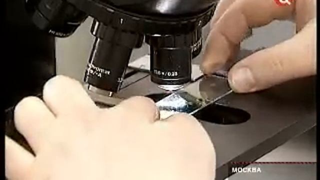 Поддельной косметики в магазинах стало больше смотреть онлайн