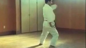 Сисотин ката, Годзю рю карате до