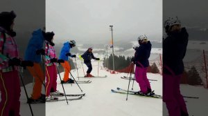 Горные лыжи карвинг курс в Сорочанах, Москва декабрь17г. Скифактор.