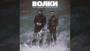 Руслан добрый за нами много волков 🌒🌓