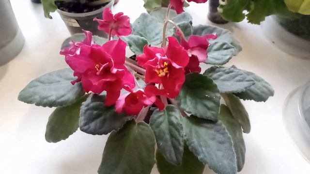 НЕ БОЙТЕСЬ ЭТО ДЕЛАТЬ ! И БУДЕТ ВАМ РАДОСТЬ !!!!)))) смотреть онлайн