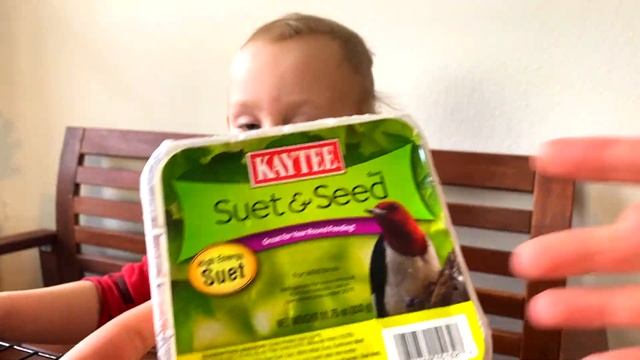 Собираем Кормушки: Как привлечь разных ПТИЦ смотреть онлайн