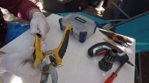 #DIY - Секатор на штанге. Делаю из подручных средств.