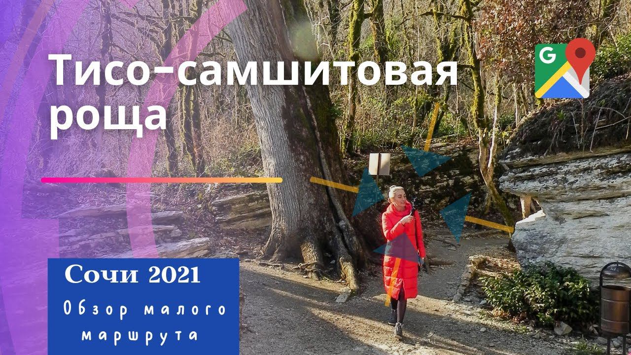 Сочи зимой/Тисо-самшитовая роща/обзор малого маршрута