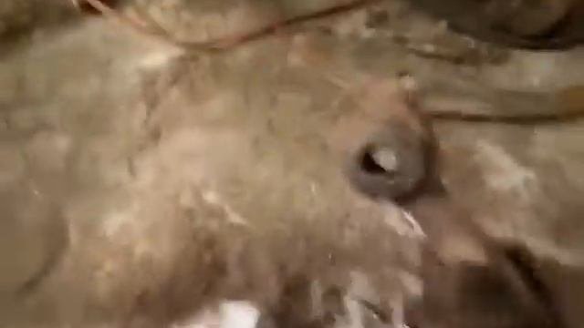 разборка рычагов и резьбовых втулок