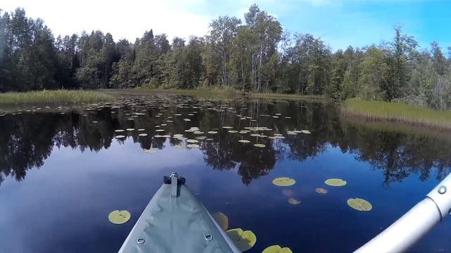 Беличья протока смотреть онлайн