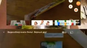 книга. вольт