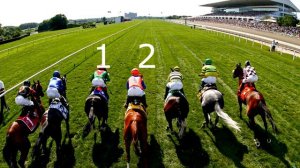 СТАВКИ НА СКАЧКАХ. КАК ВЫИГРАТЬ  НА СКАЧКАХ.