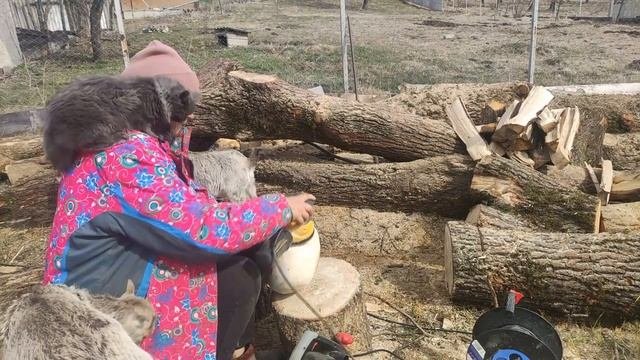 Сучковатые чурбаки, что с ними делать?  Изготавливаю сферу из чурбаков, которые не годятся на дрова