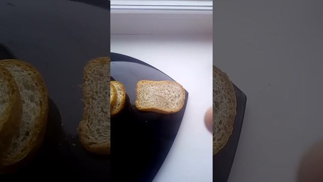 Как избавиться от энуреза