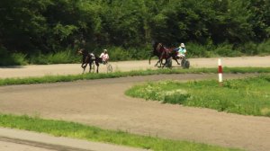 16.07.2022г.Абакан ПРИЗ Гибрида для лошадей 3-х лет Рысистых пород 1600м(2Гит)