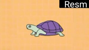 Черепашка флексит под "морская черепашка"