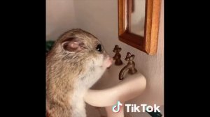 МОЙ РУКИ, ИНАЧЕ... / ЧИТАЙКИНА "МОЙДОДЫР"