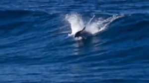 Эннио Морриконе. Le Vent , Le Cri .