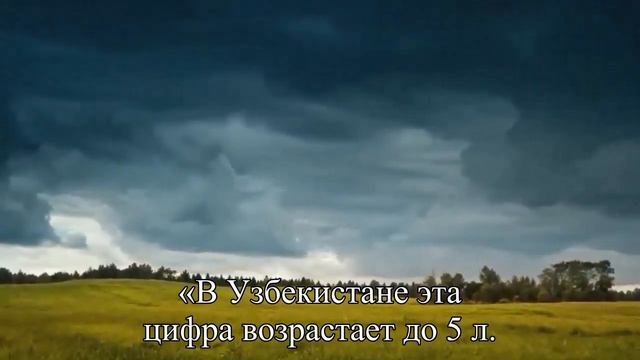 Сколько нужно пить воды — Статья смотреть онлайн