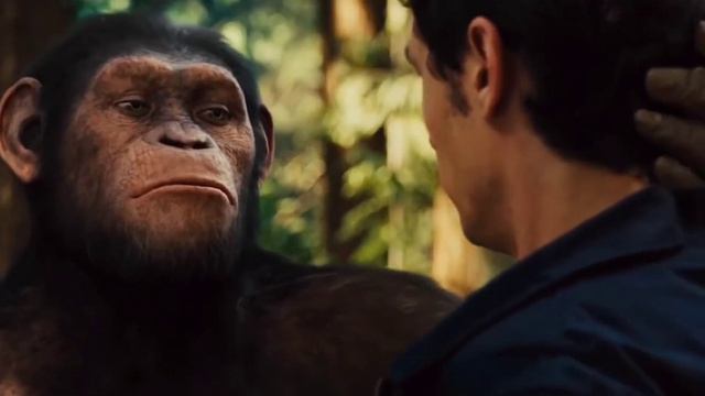 Цезарь дома! смотреть онлайн