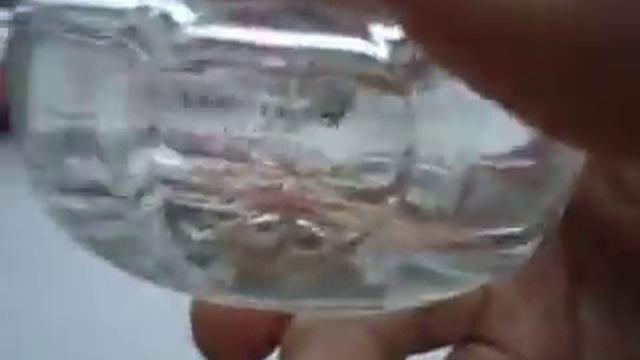 Обзор"Мои духи" смотреть онлайн