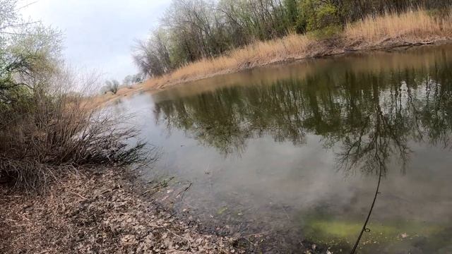 Хороший клев щуки весной в плохую погоду. смотреть онлайн