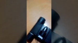 Бинокль Bushnell. Отзыв