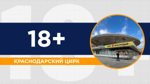 Судьба цирка в Краснодаре: каким он был и каким станет?