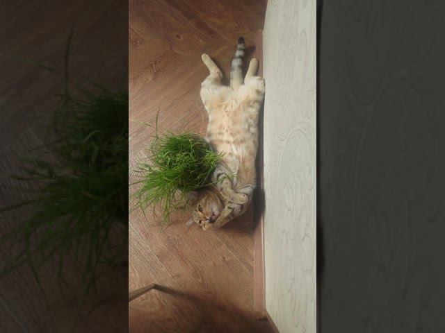 31 августа 2021 г. смотреть онлайн