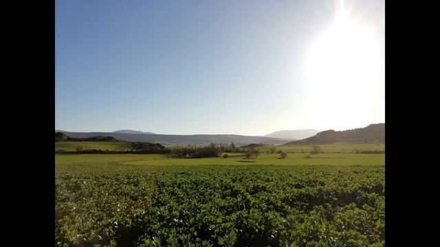 Alaya Yoga Mutilva. Pranayamas 1 смотреть онлайн