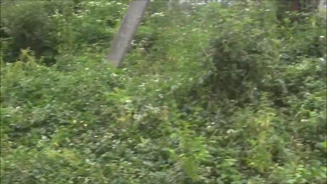 Соколиное.Большой каньон. Проход через село к моей стоянке . июнь 2013 смотреть онлайн