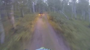 Kawaski klx 250,Honda xr 250,лесная дорога,эндуро