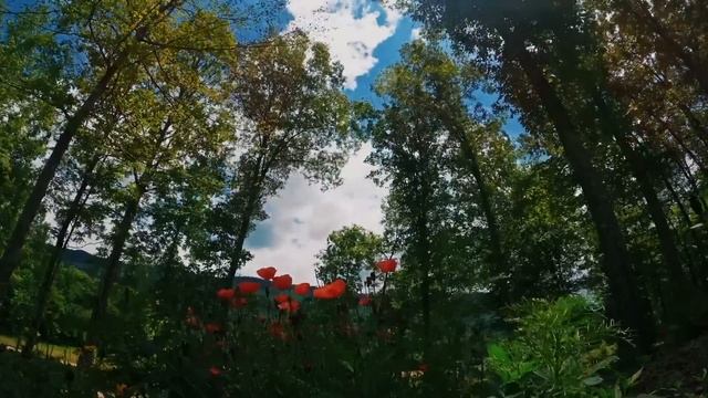 Most Powerful Aura Clearing Meditation ( 15 Minutes meditation ) смотреть онлайн