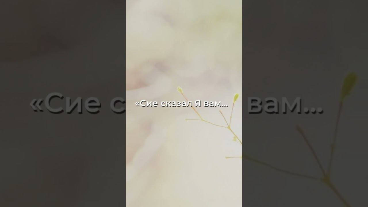 Слова, которые озарят вашу радость...