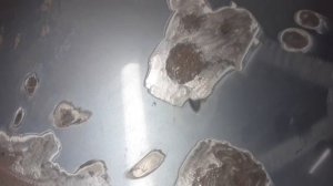 Лужение рамки лобового стекла