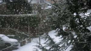 Снег за окном