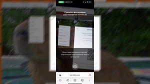 Как сделать голосовой чат гс в роблокс бесплатно