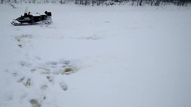 Котлетница  11.12.2019г