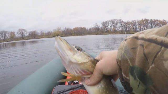 ЖОР ЩУКИ В НОЯБРЕ. 2022. ЛОВЛЯ НА ВОБЛЕР. смотреть онлайн