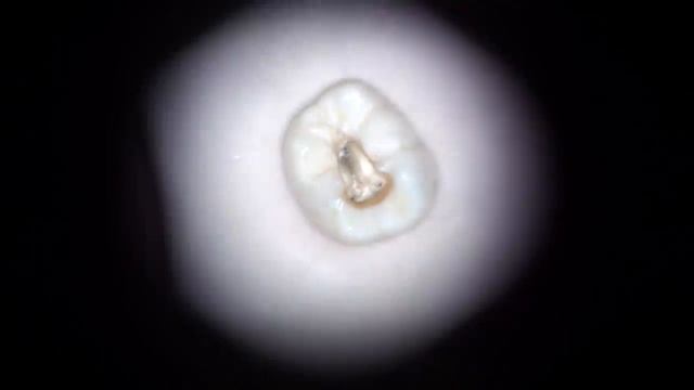 sony sr12 test смотреть онлайн