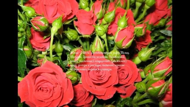 Встречаем ДЕНЬ Рождения*** СОЛЯР*** и практики Соляра