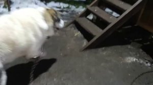 Протянули греющий кабель в колодец/вода для унитаза сойдёт/потепление/нам повезло/жизнь за городом.