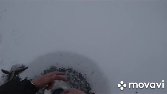 С женой на первый лёд! смотреть онлайн