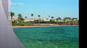 путевка в египет из спб