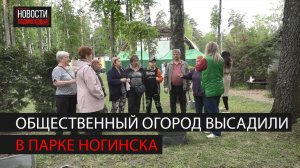 В Богородских парках появились общественные огороды